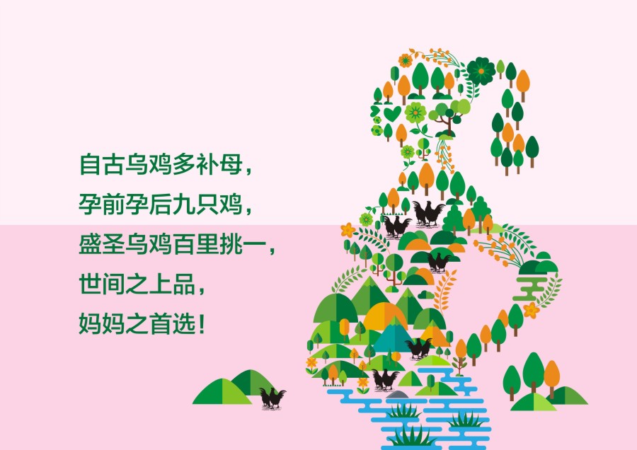 盛圣乌鸡包装