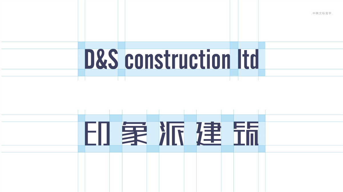 D&amp;S 品牌标志设计