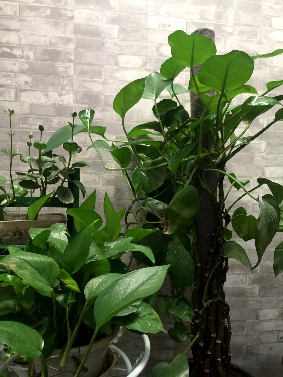 艺沐思维实景∣韵味