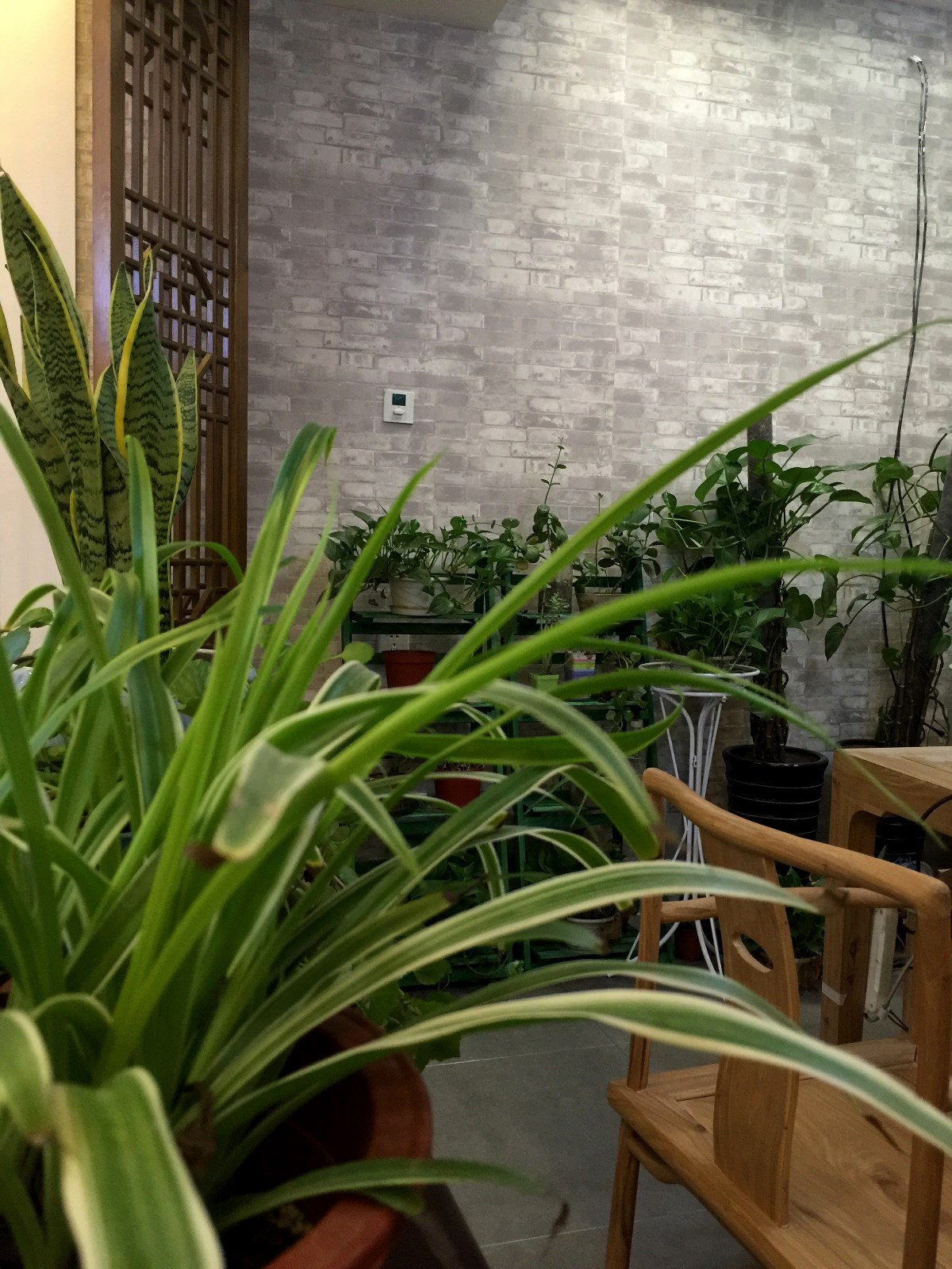 艺沐思维实景∣韵味