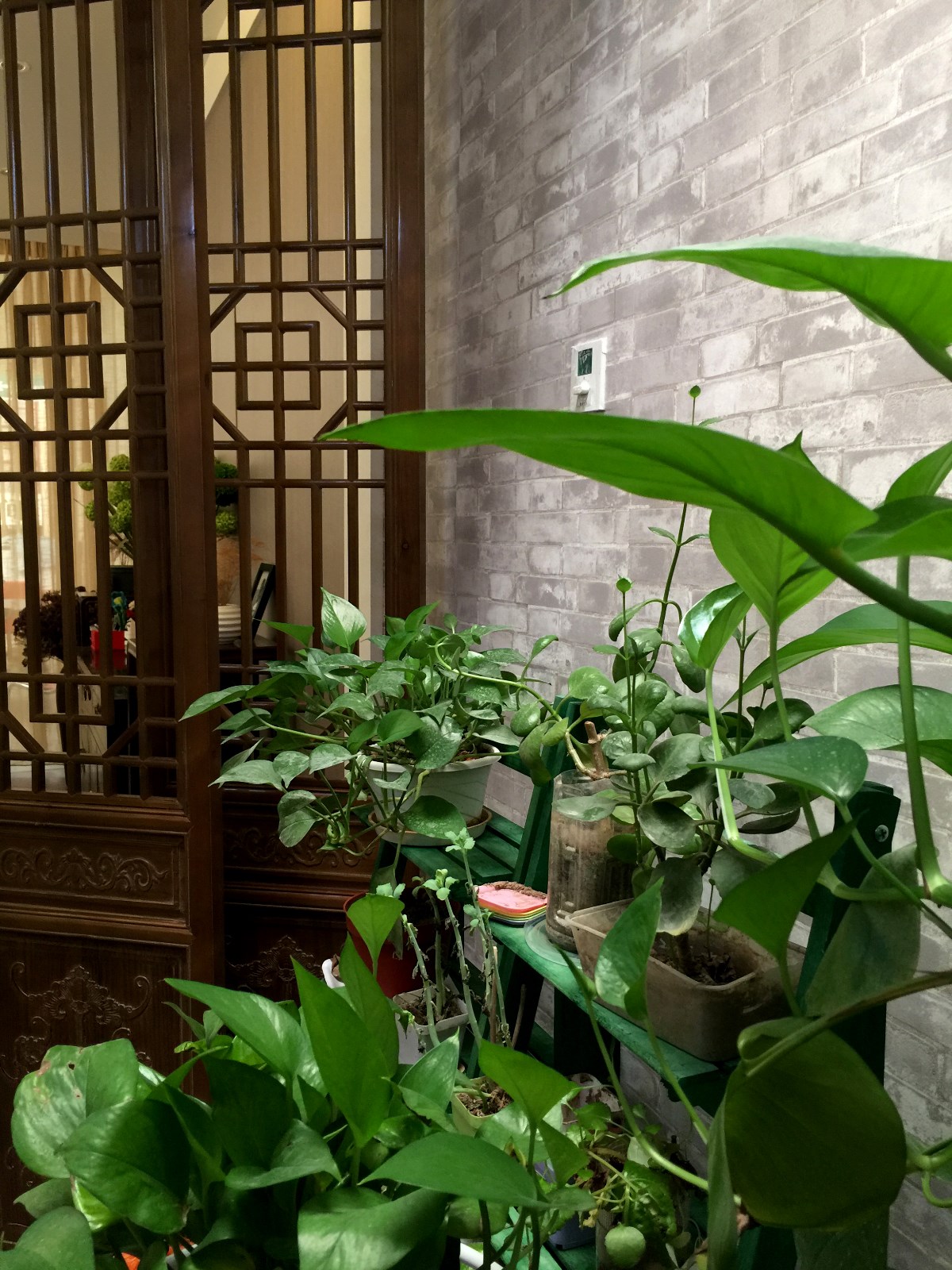 艺沐思维实景∣韵味