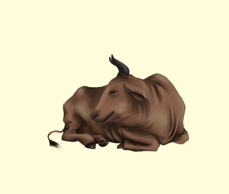 吉林标志设,吉林包装设计,,吉林大米包装设计,吉林特产包装设计,东北特产包装设计,东北包装设计,