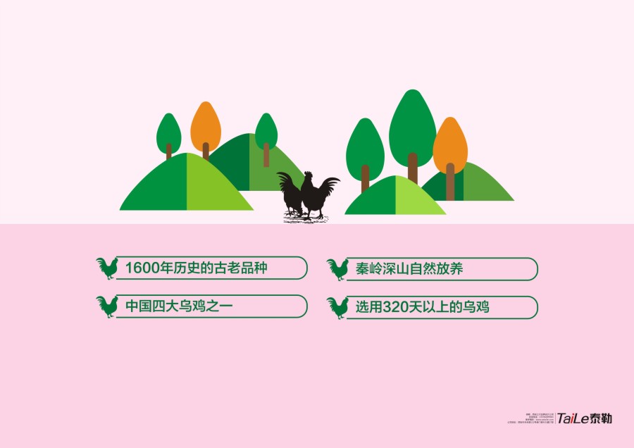 盛圣乌鸡包装