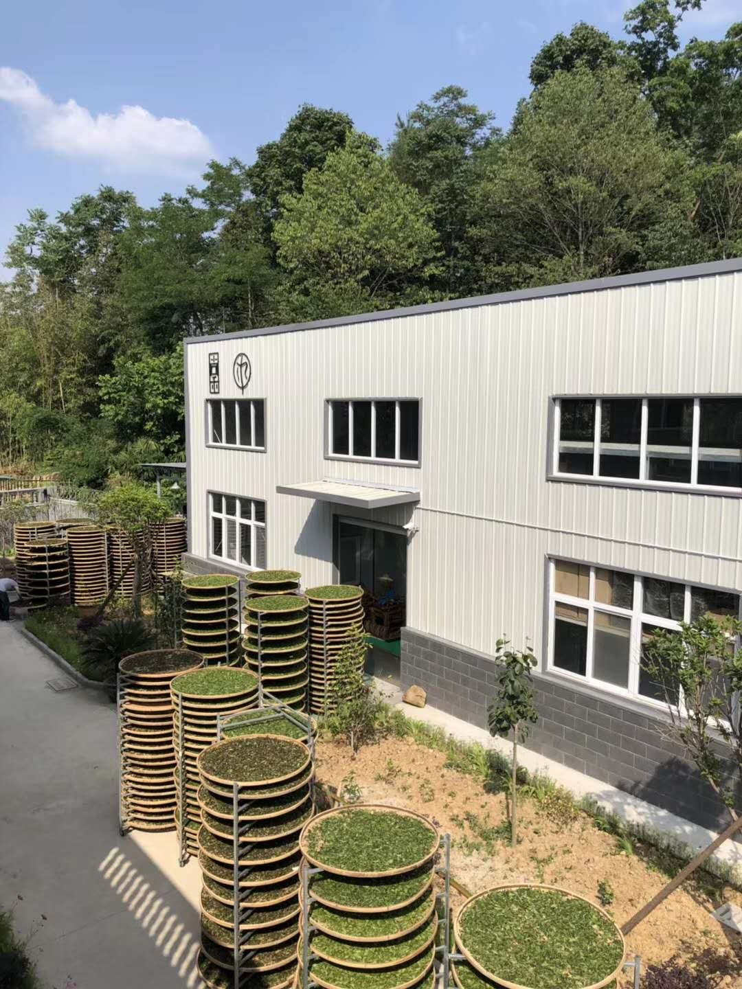 茶叶包装设计，来自西北深山的玉叶-厚启设计