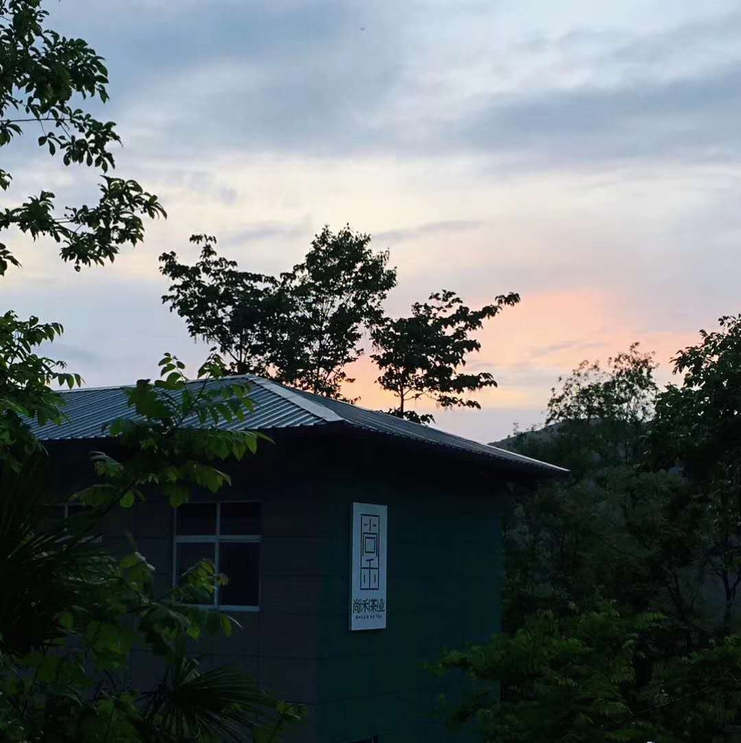 茶叶包装设计，来自西北深山的玉叶-厚启设计