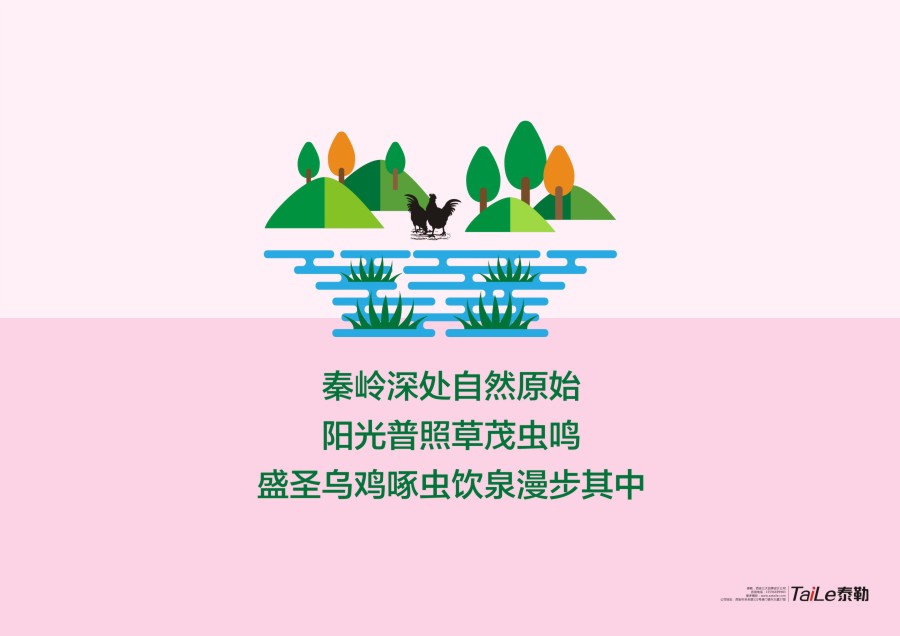 盛圣乌鸡包装
