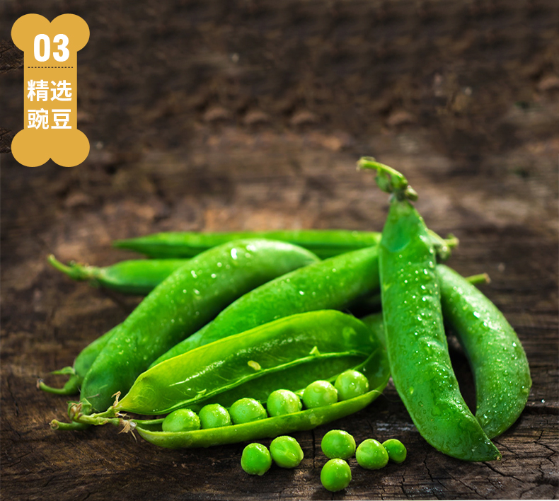 狗粮 猫粮 宠物包装设计