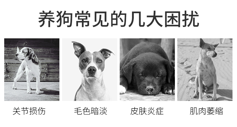 狗粮 猫粮 宠物包装设计