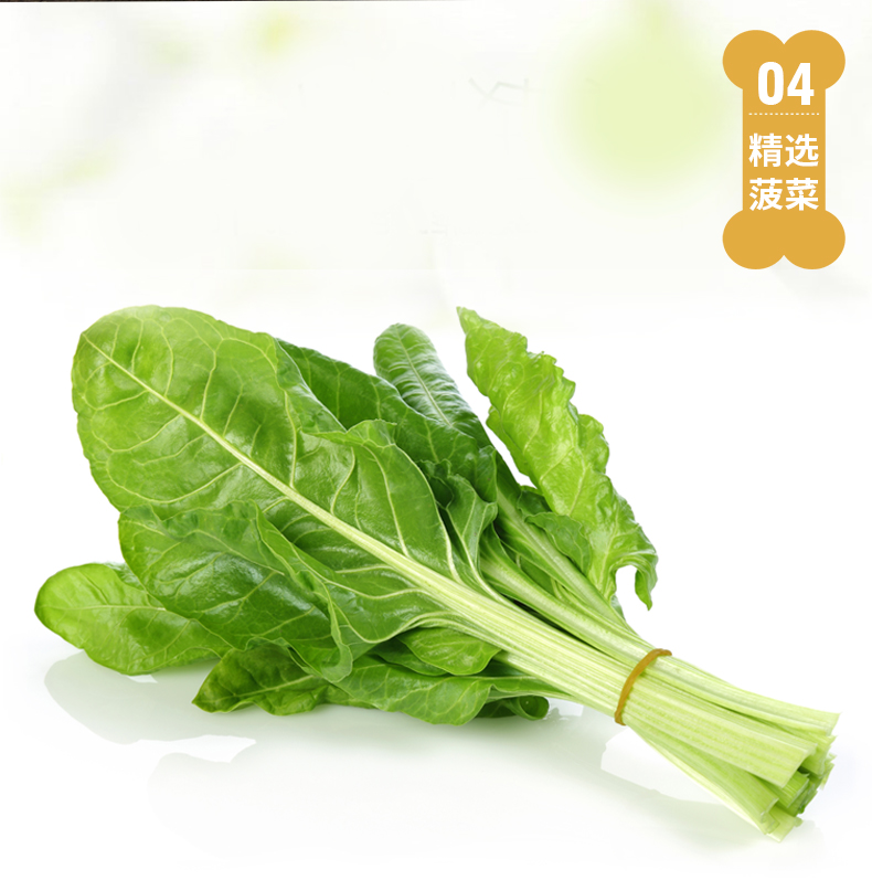 狗粮 猫粮 宠物包装设计