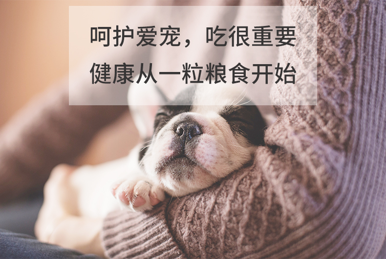 狗粮 猫粮 宠物包装设计