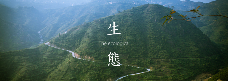 茶叶礼盒包装 精简风格 包装礼袋