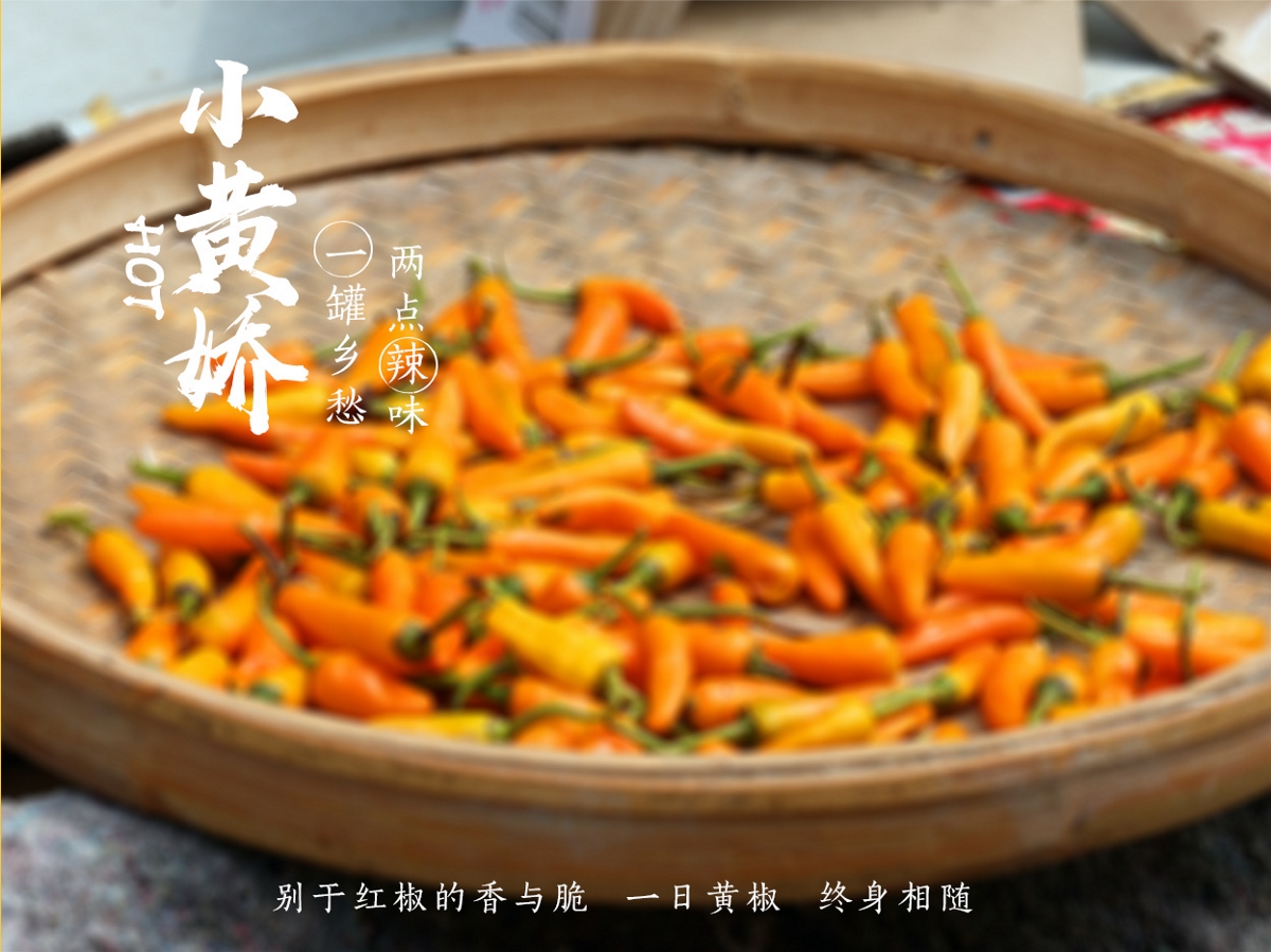 青柚原创-辣椒酱品牌包装策划设计