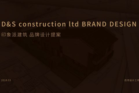 D&S 品牌标志设计