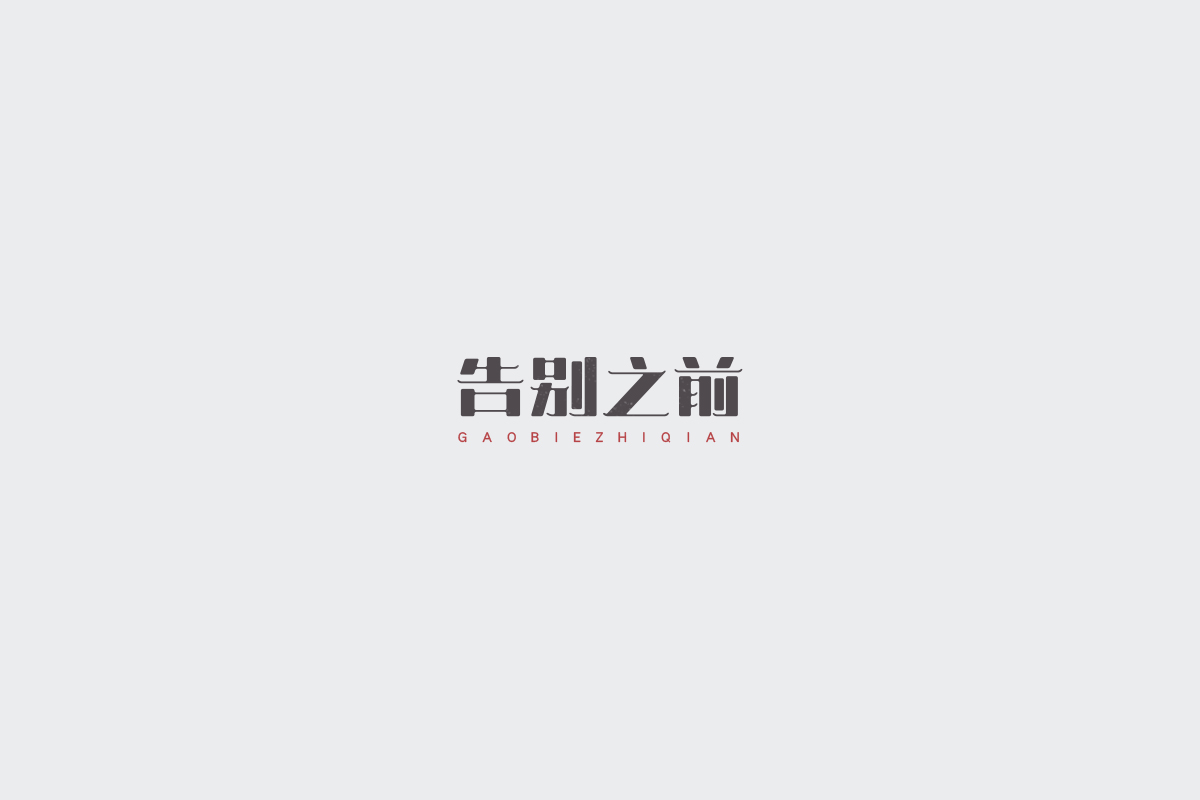 2017字体设计总结