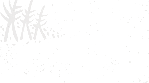 商业LOGO展现动画合集（一）