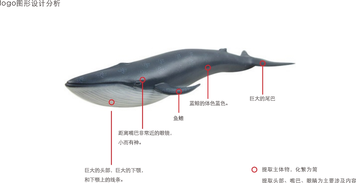 卡通logo设计品牌形象设计