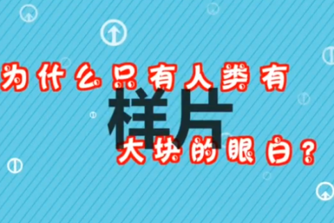 知识动画视频制作