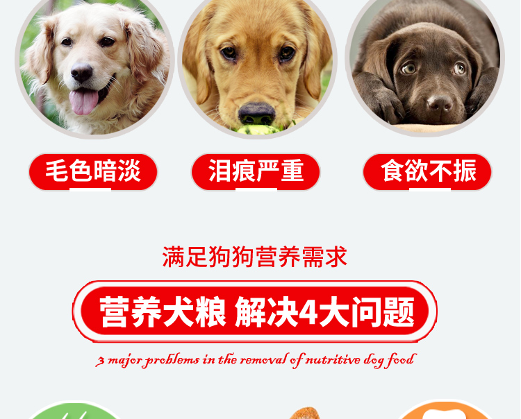狗粮包装设计 宝贝描述设计