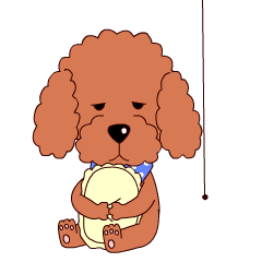 狗狗表情 表情包制作
