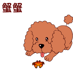 狗狗表情 表情包制作